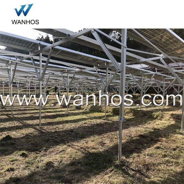 Solar Farm And Agriculture