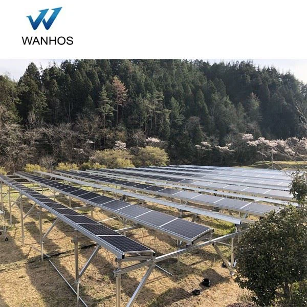 Solar Farm And Agriculture