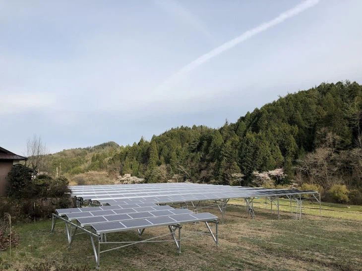 Solar Farm And Agriculture