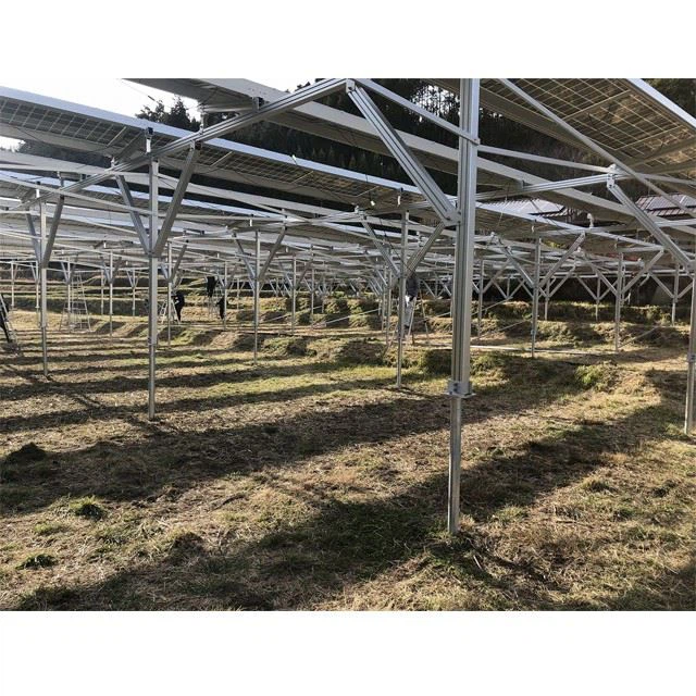 Solar Farm And Agriculture